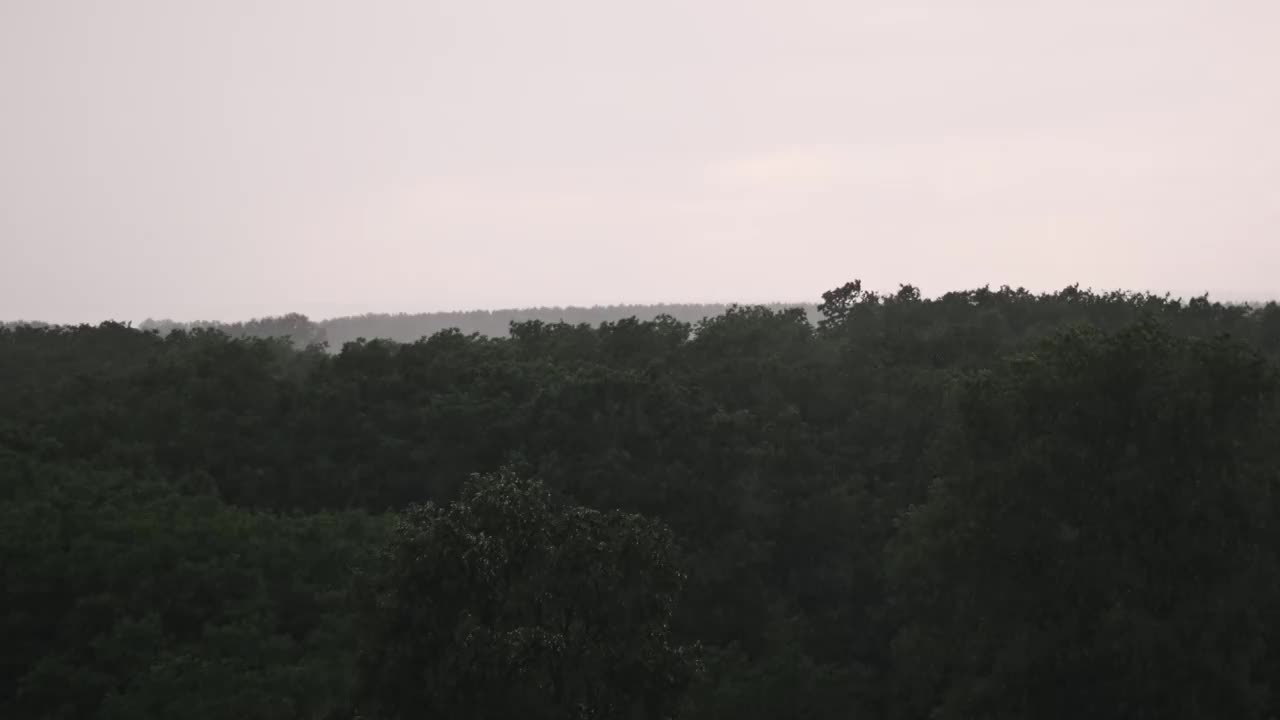雨水透过窗户-绿色的景色视频素材