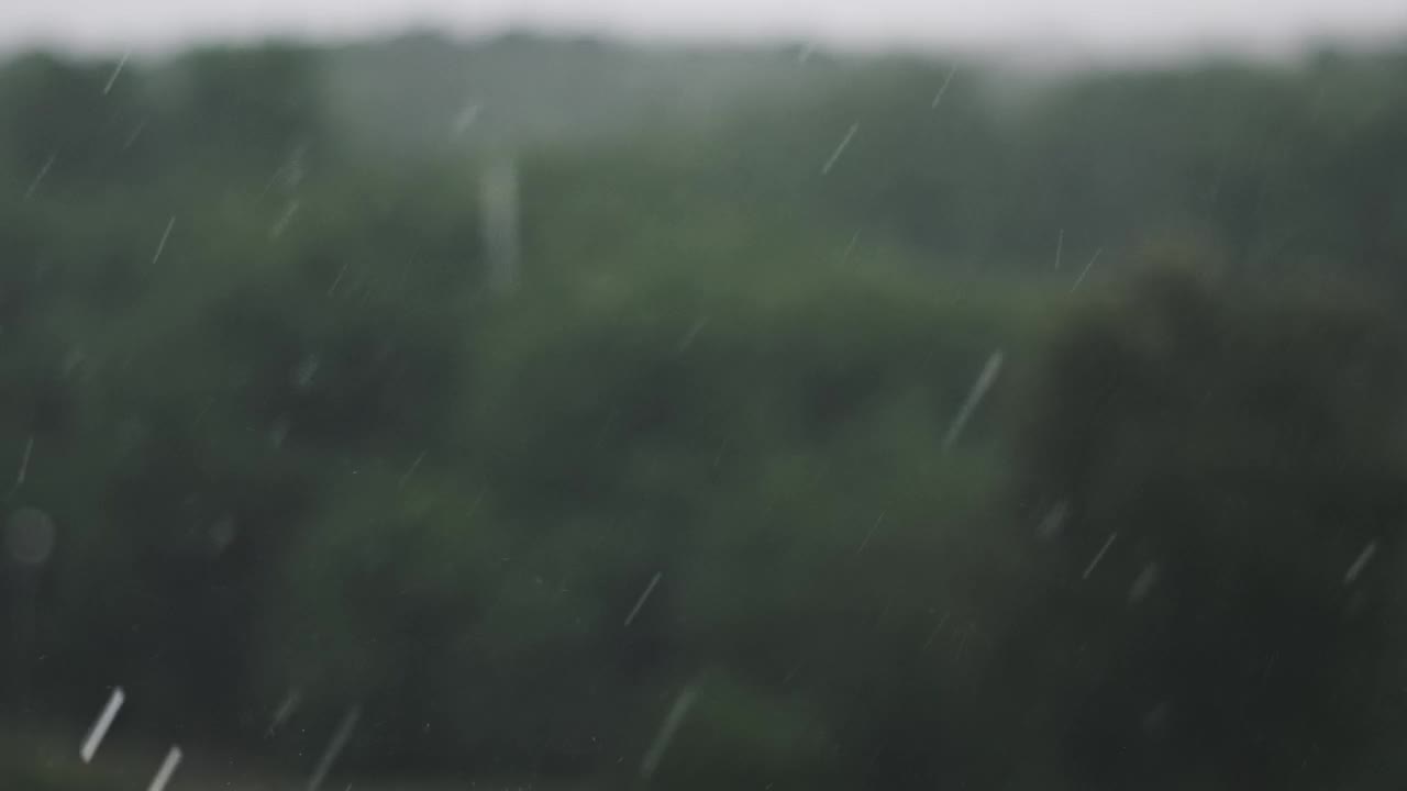 绿森林上的雨-慢动作视频素材