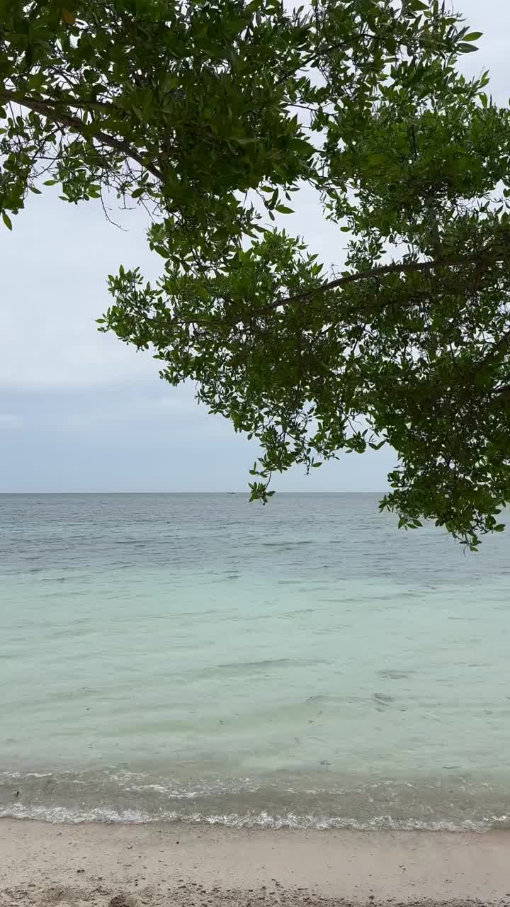 平静的海视频素材