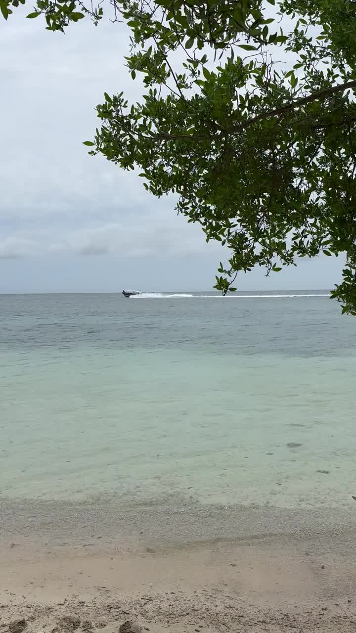 海滩度假视频素材