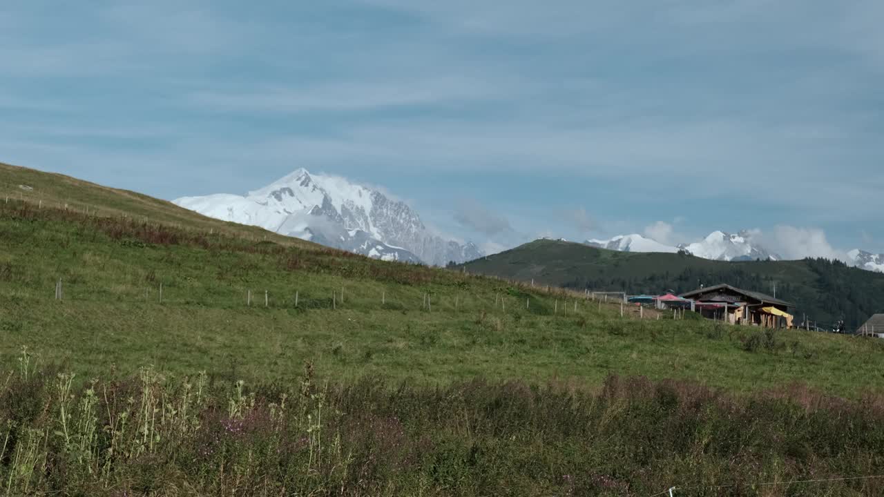 在法国阿尔卑斯山的一个农场里，一群带着牛铃的牛，背景是勃朗峰和其他山脉。视频素材