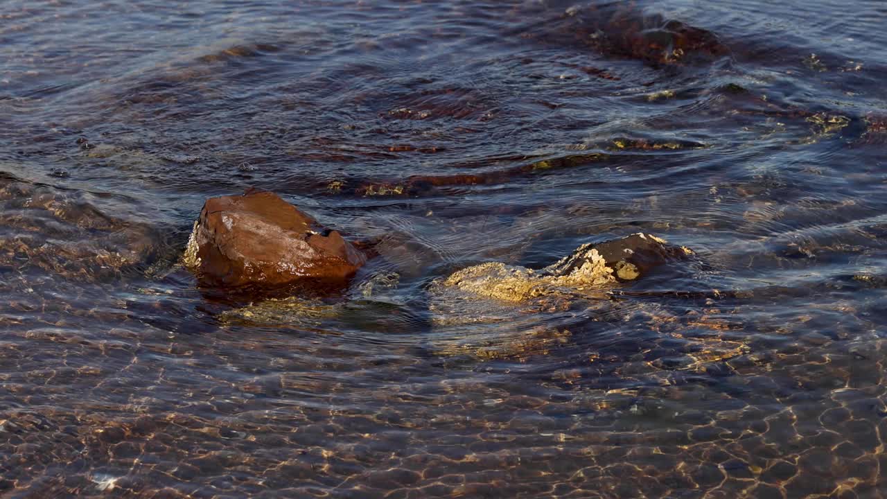 海浪冲击着海滩上的岩石视频素材