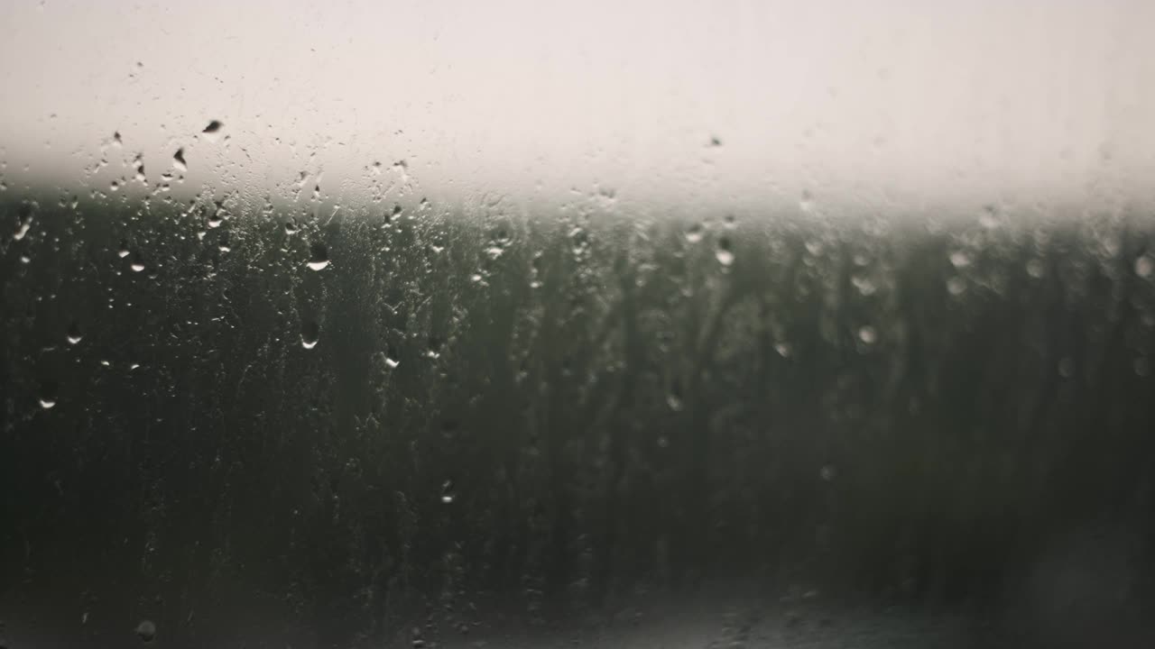 雨在窗户上-森林景观视频下载