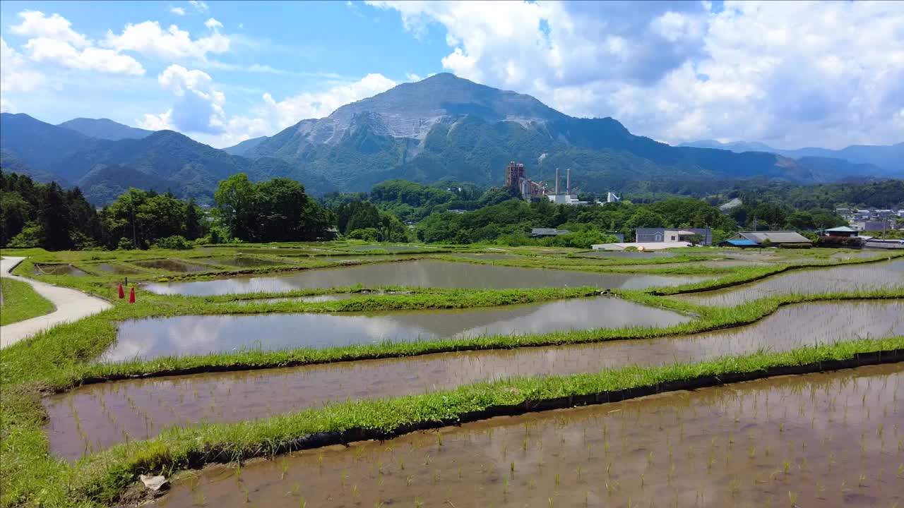 秩父市的梯田视频下载