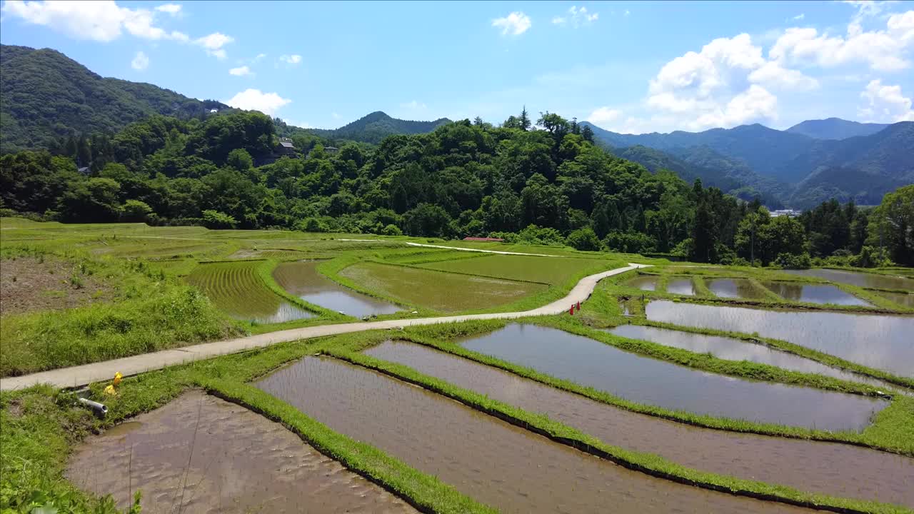 秩父市的梯田视频素材