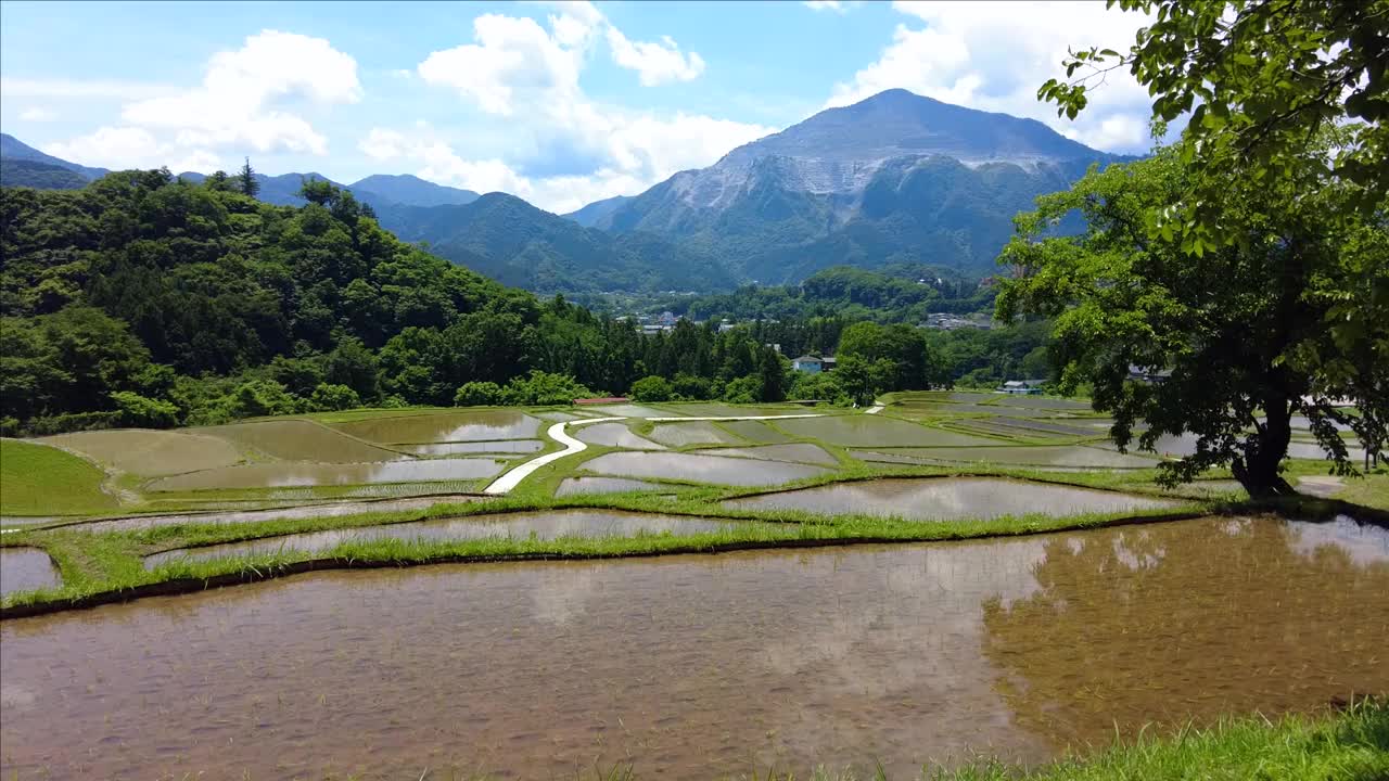 秩父市的梯田视频下载