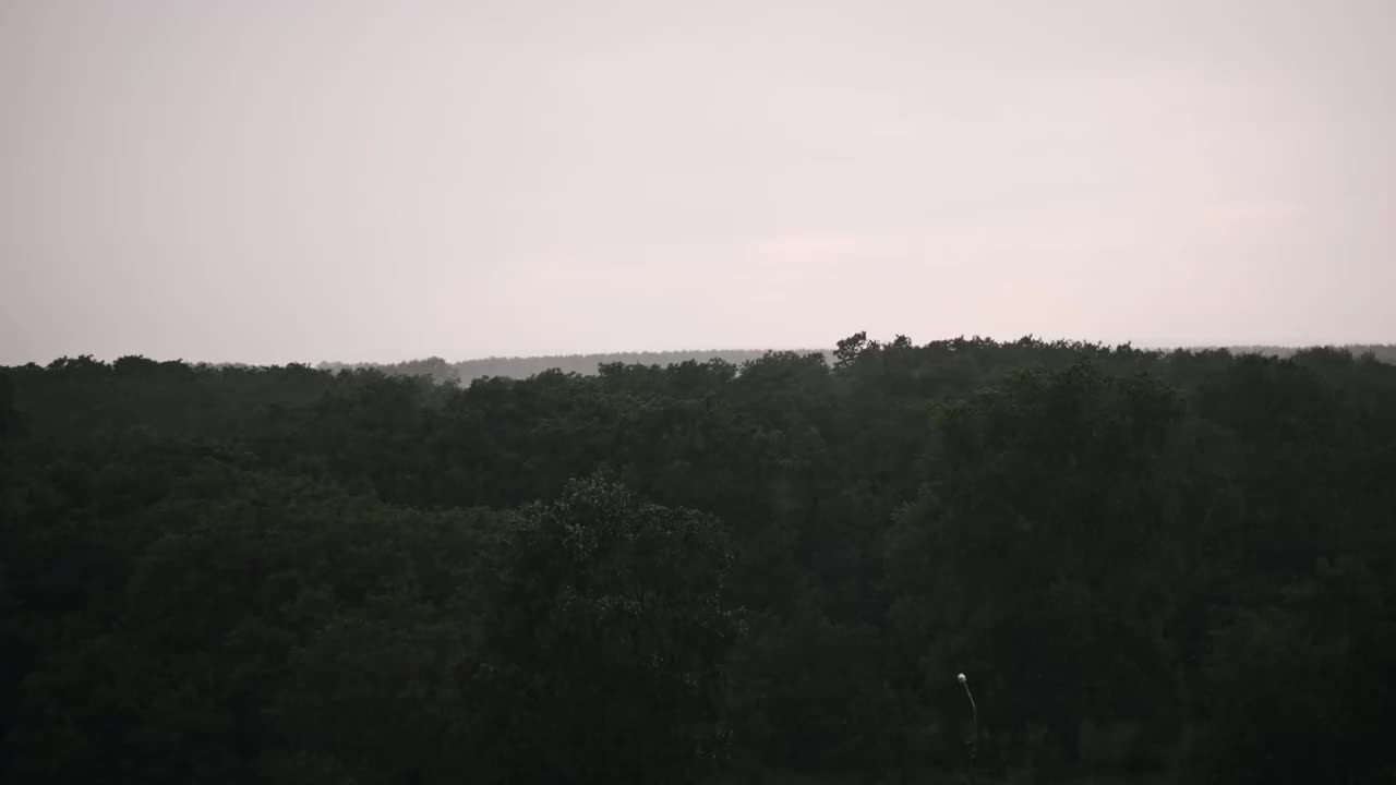 雨在森林-穆迪4K视频素材