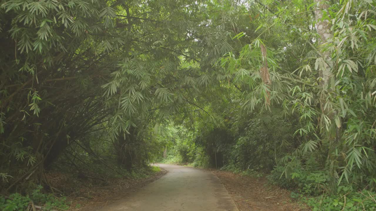 泰国乡村，在绿树葱茏的道路上开车。视频素材