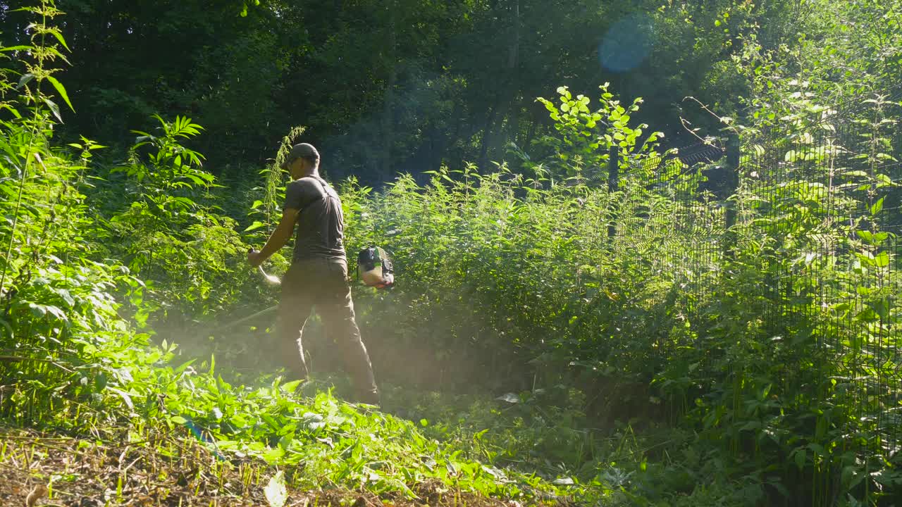 园丁修剪草坪，汽油割草机用于清洁区域。视频下载