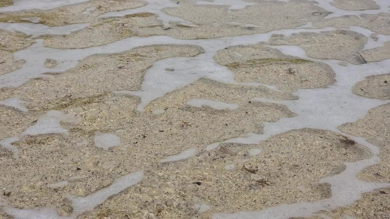 女人沿着海滨平静地散步视频素材