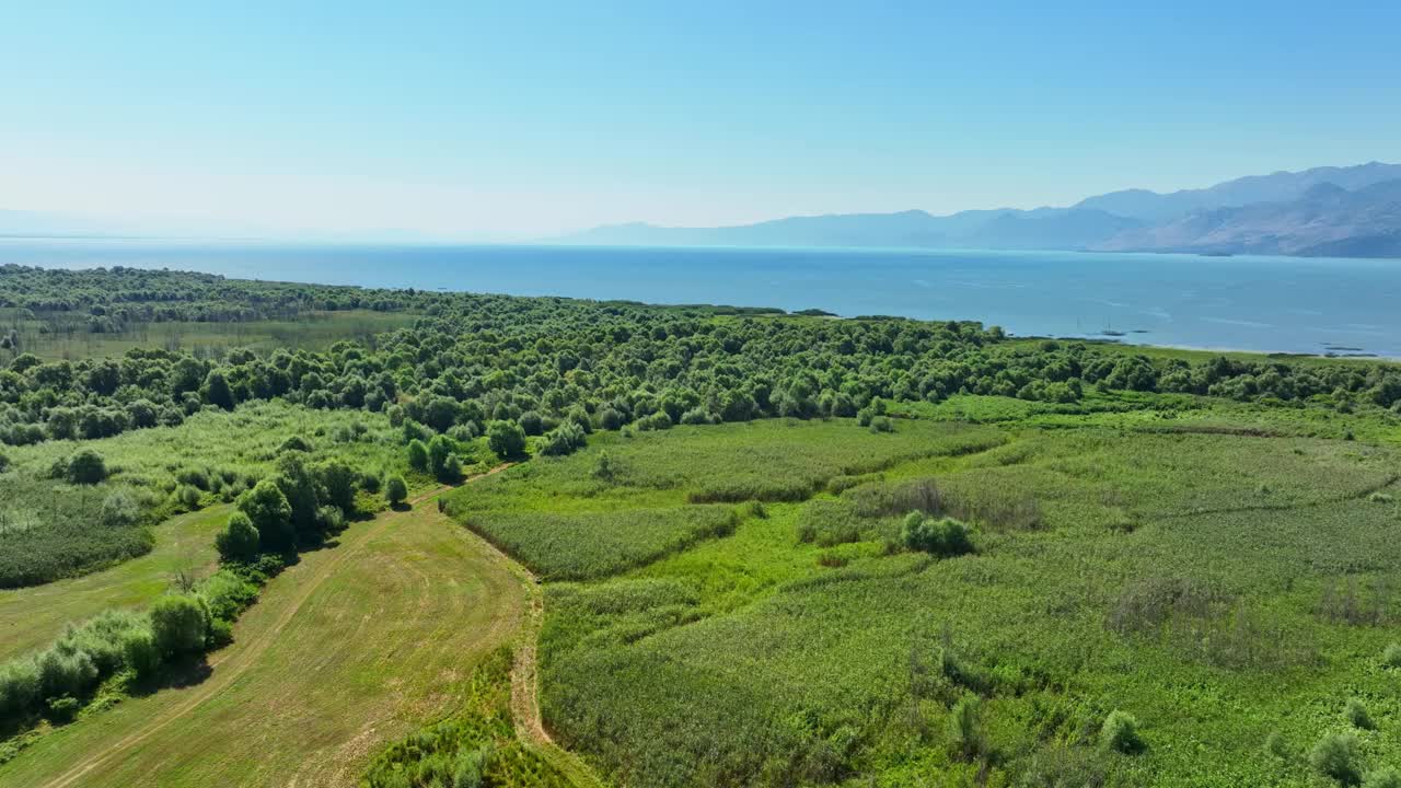 夏天，黑山的斯卡达尔湖国家公园，无人机在湿地上空盘旋视频素材