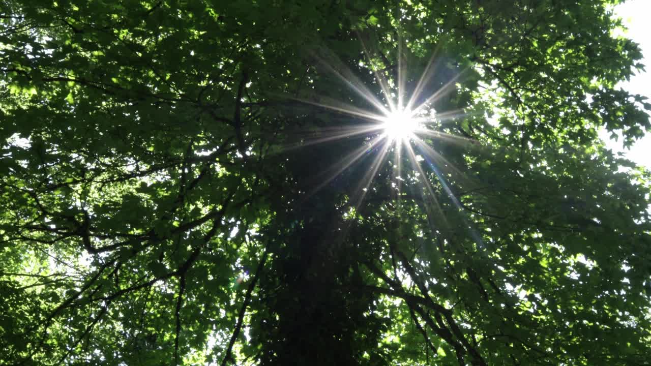 太阳反射-长时间暴露视频下载