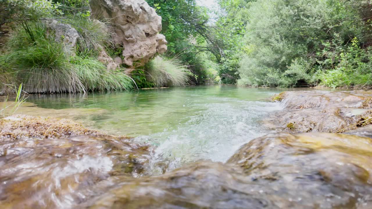 一条有岩石海岸线的河流，背景是郁郁葱葱的绿色森林视频素材