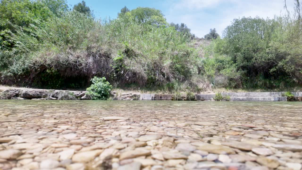 以岩石海岸线和树木为背景的水体视频素材