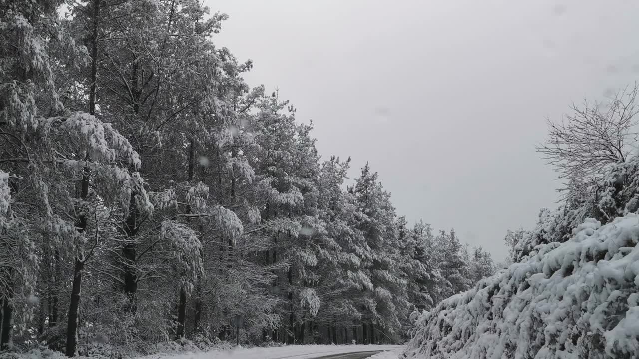 一条白雪覆盖的道路，背景是树木视频素材