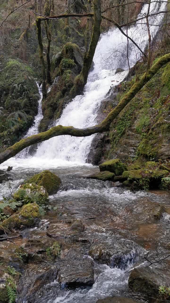 瀑布从多岩石的山坡上流下来。圣蒂尔索·德·阿布雷斯，佩纳·德尔·恩坎托。视频素材