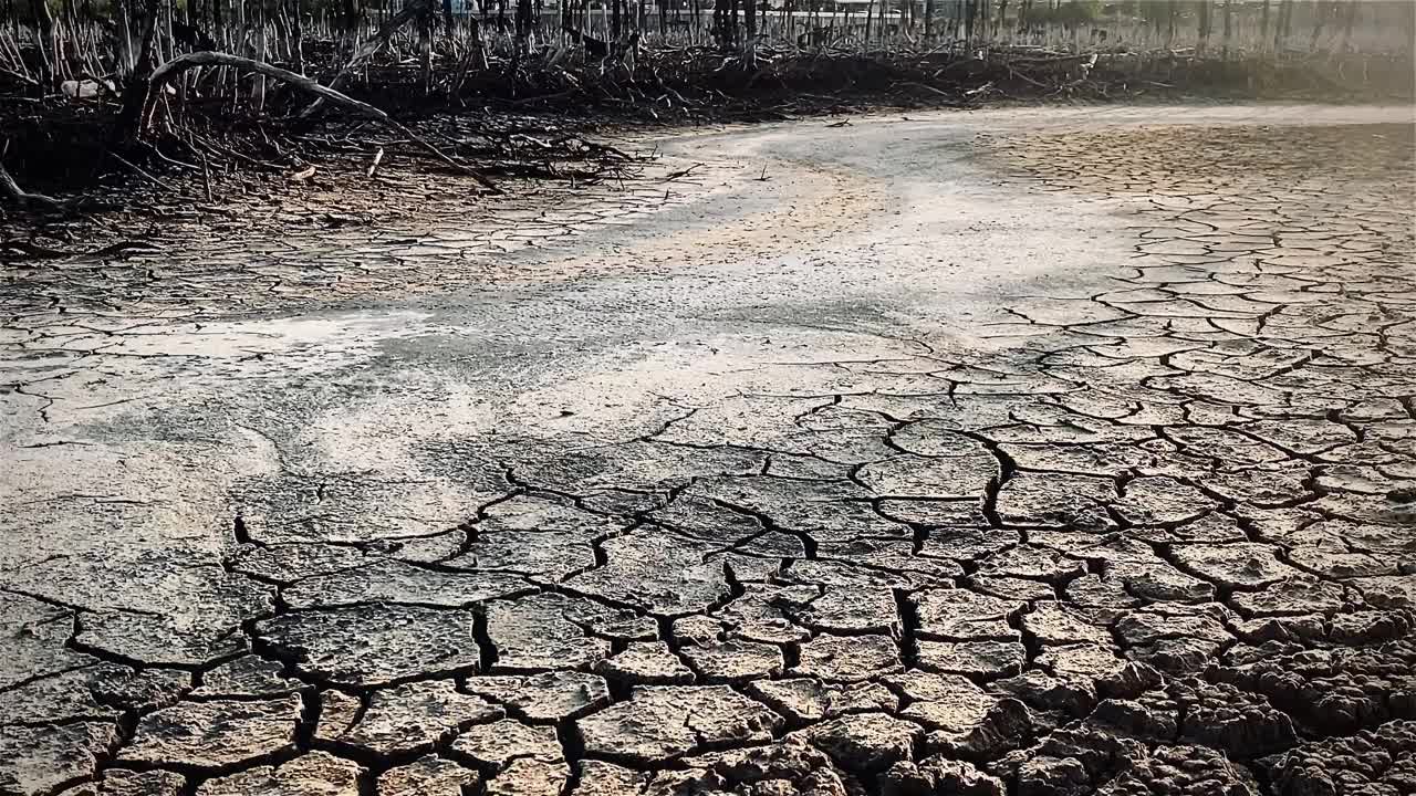 红树林被破坏的景观，是红树林因破坏和生境的扩大而丧失。栖息地扩张破坏环境，红树林退化视频下载