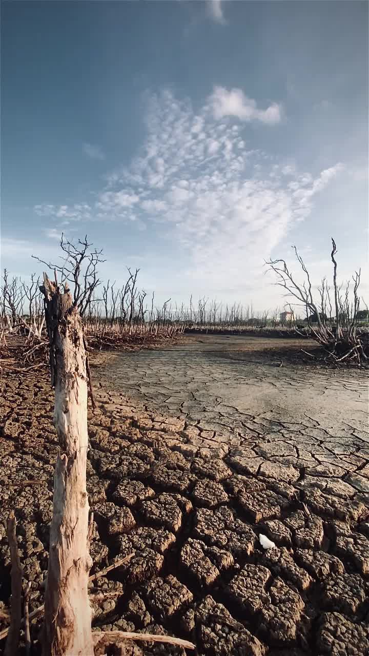 红树林被破坏的景观，是红树林因破坏和生境的扩大而丧失。栖息地扩张破坏环境，红树林退化视频下载