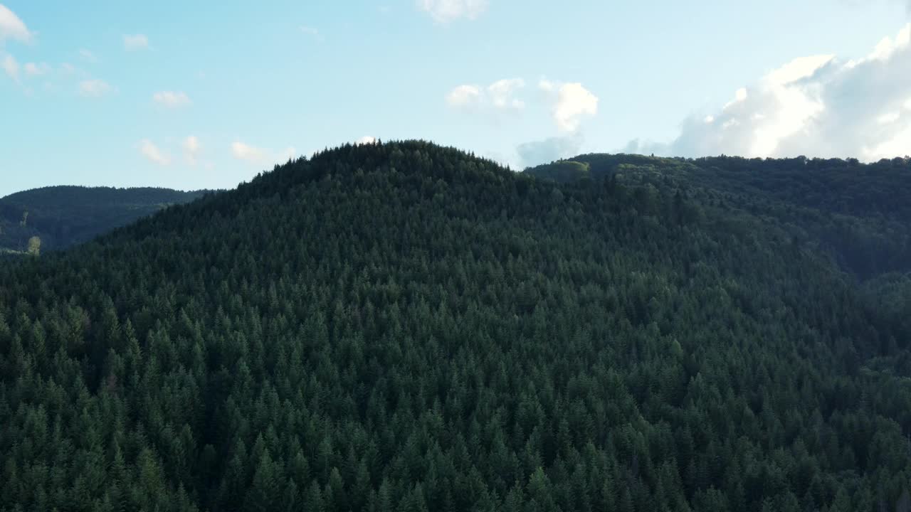 空中无人机拍摄的美丽的山脉，多云的天空和绿色的松林在清晨或傍晚。大自然中的大树林。户外旅游目的地概念视频素材