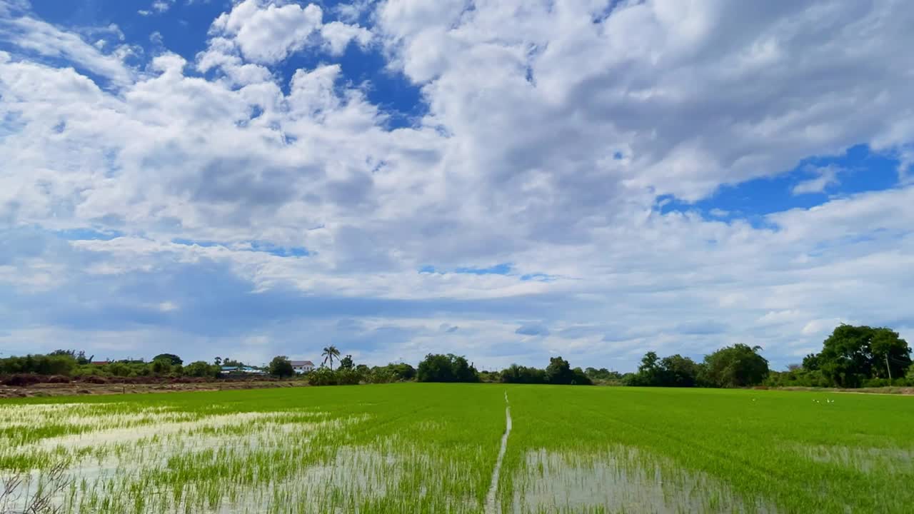 夏日蓝天上，雷暴前形成的白色蓬松云。移动和变化的云景天气。视频素材