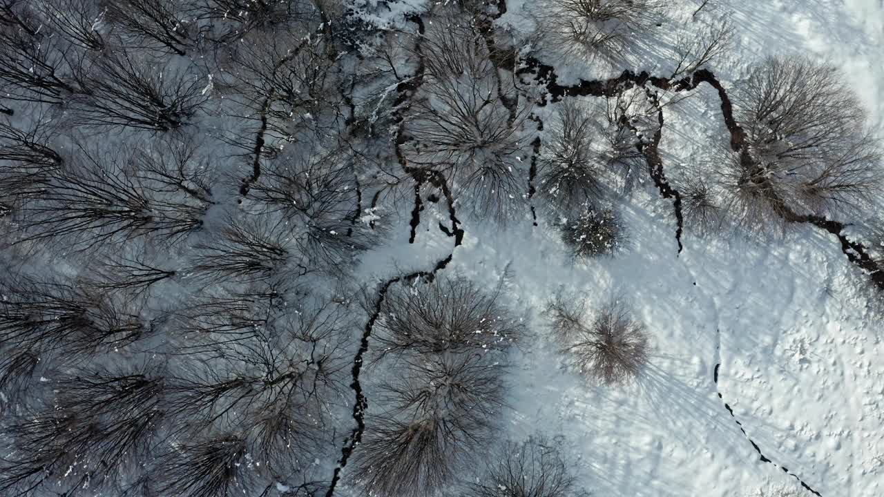 鸟瞰图，有蜿蜒的小溪和光秃秃的树木的白雪皑皑的森林视频素材