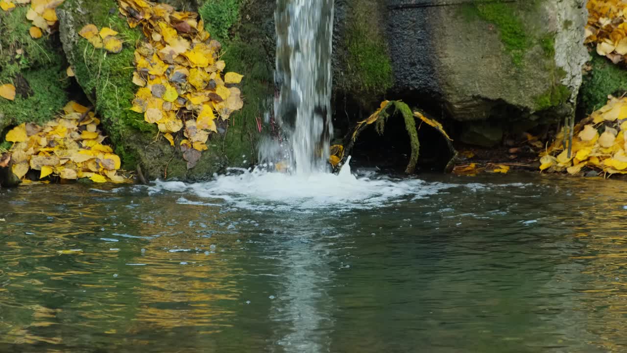 一股水流进了有秋叶的池塘。从排水管中落下的水。落水管里流淌着流水，四周是秋叶。视频下载