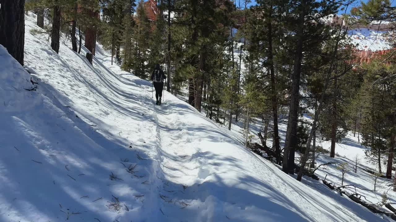 女徒步者在布莱斯峡谷的雪地里享受冬季徒步旅行视频素材