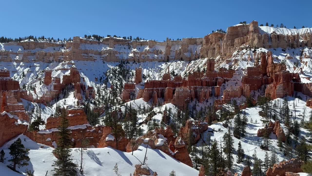 在冬天从下面看白雪皑皑的布莱斯峡谷hoodoo视频素材