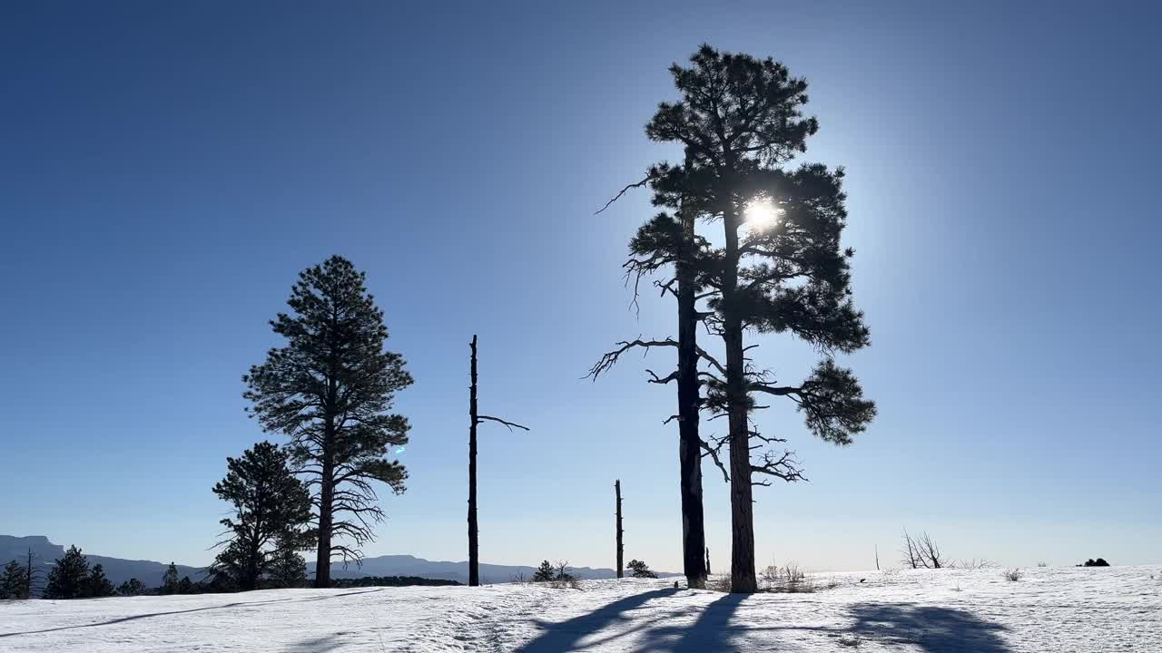 男性徒步旅行者在布莱斯峡谷国家公园的雪地里行走视频素材