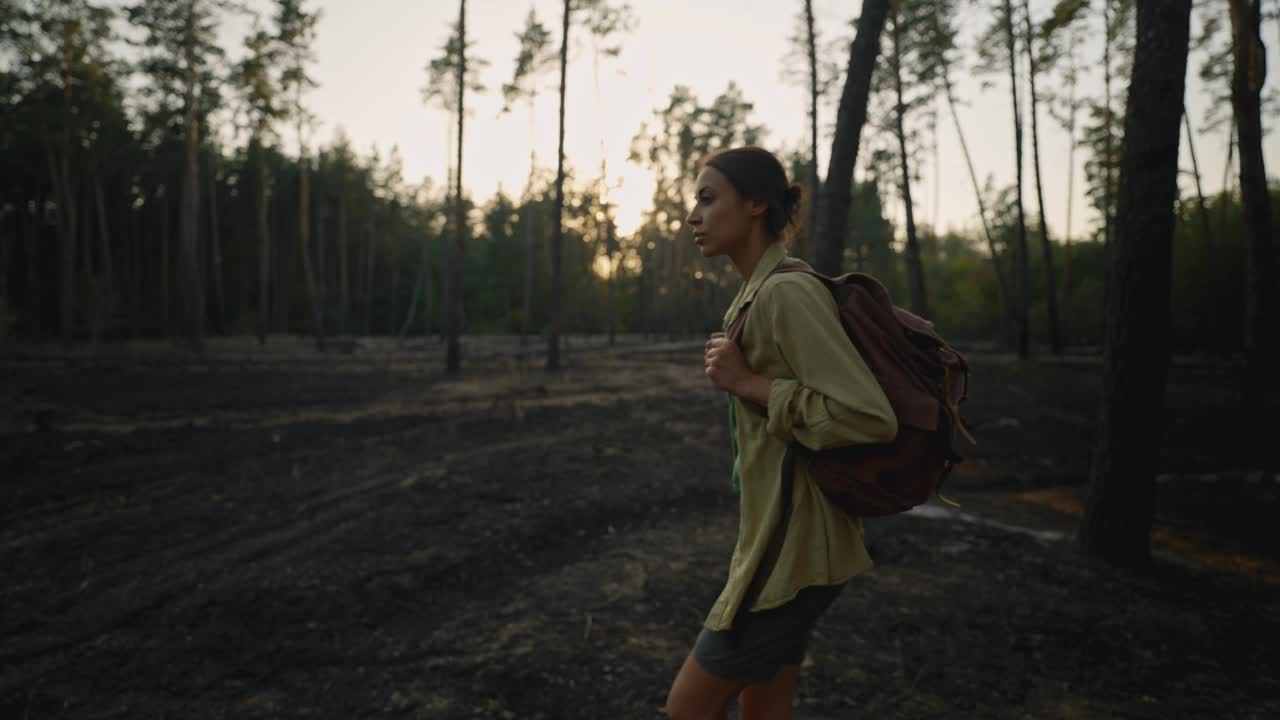 森林大火后，背着背包的悲伤女徒步旅行者在树林里。烧焦的土地，草地和树木，森林大火的后果。紧急情况和自然灾害。视频素材