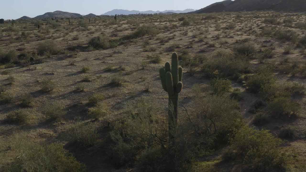 亚利桑那州凤凰城南山的沙漠景观，徒步小径和仙人掌的4K空中无人机视图视频下载