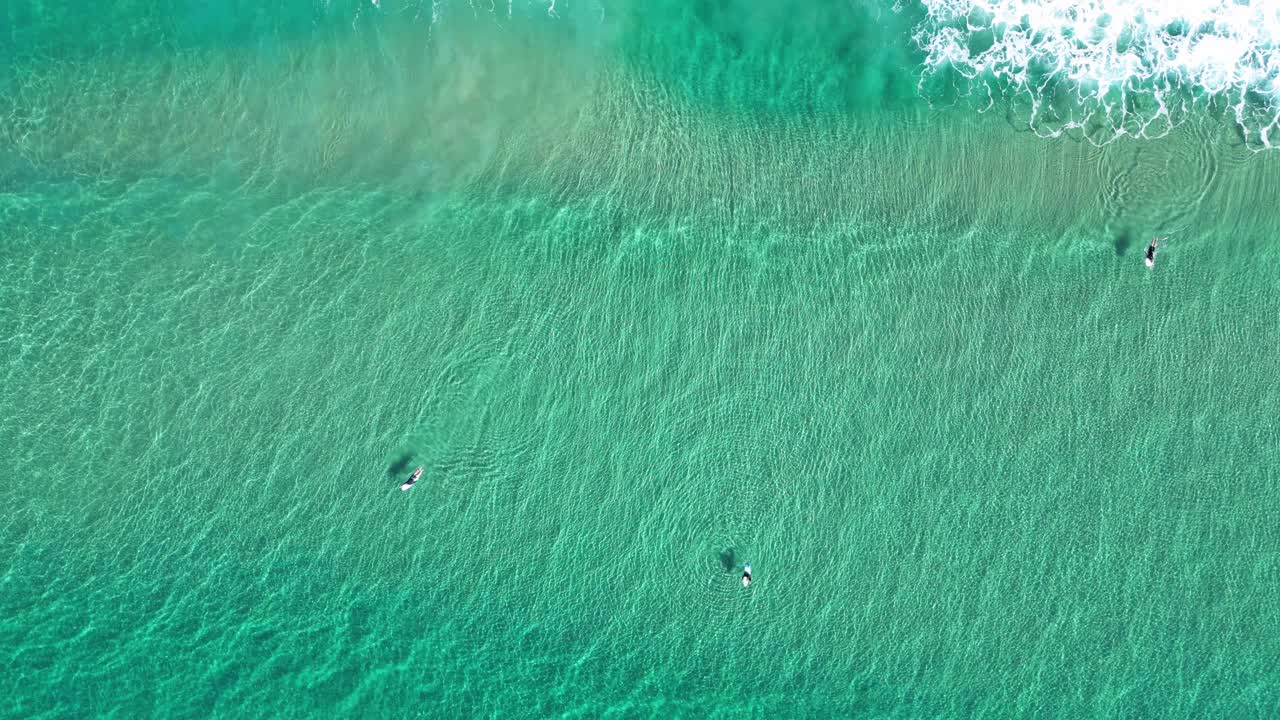 在清澈的水中等待海浪的冲浪者视频下载