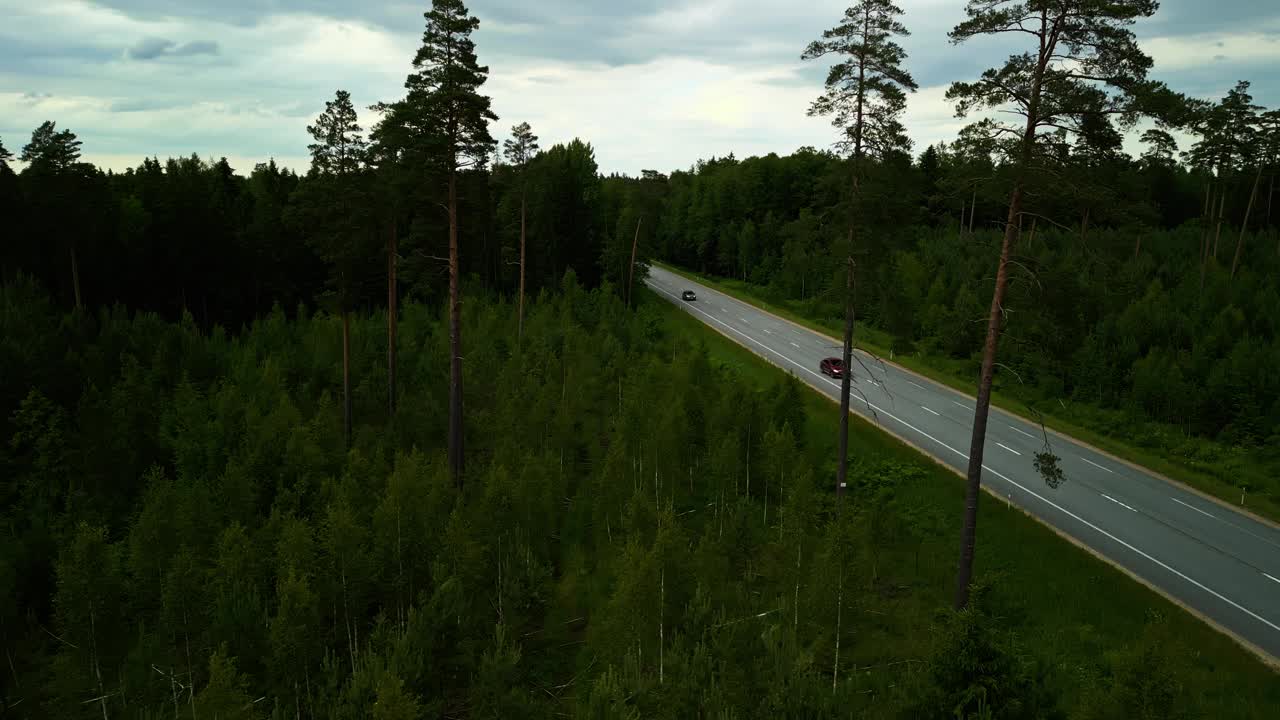 一辆汽车在森林道路上的宁静景象，捕捉了阴天的荒野和宁静的环境视频素材