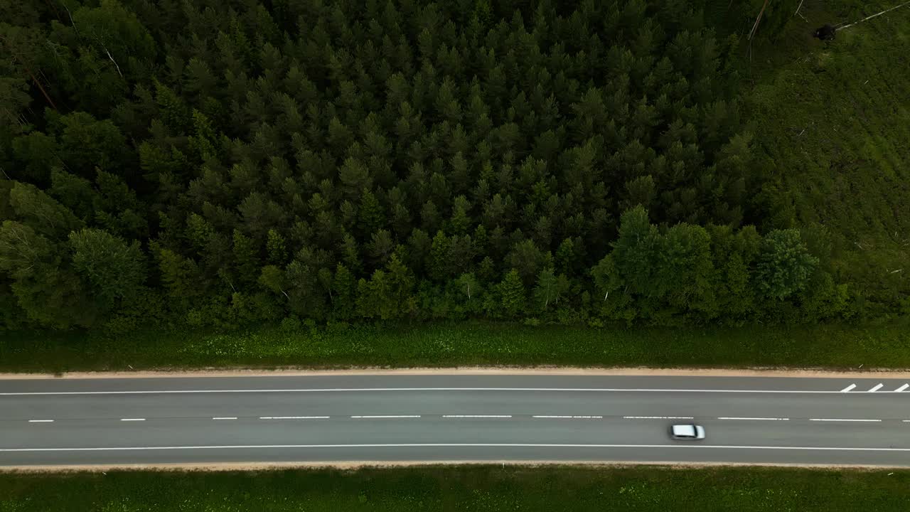 捕捉宁静的空中镜头的森林道路两旁茂密的松树，展示大自然的惊人之美视频素材