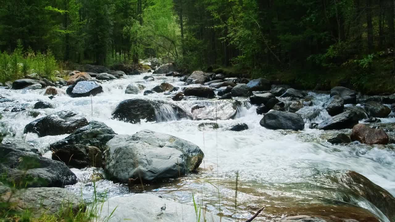 常绿针叶林中奇妙的瀑布。湍急的森林河流，有巨石。水流湍急。视频下载