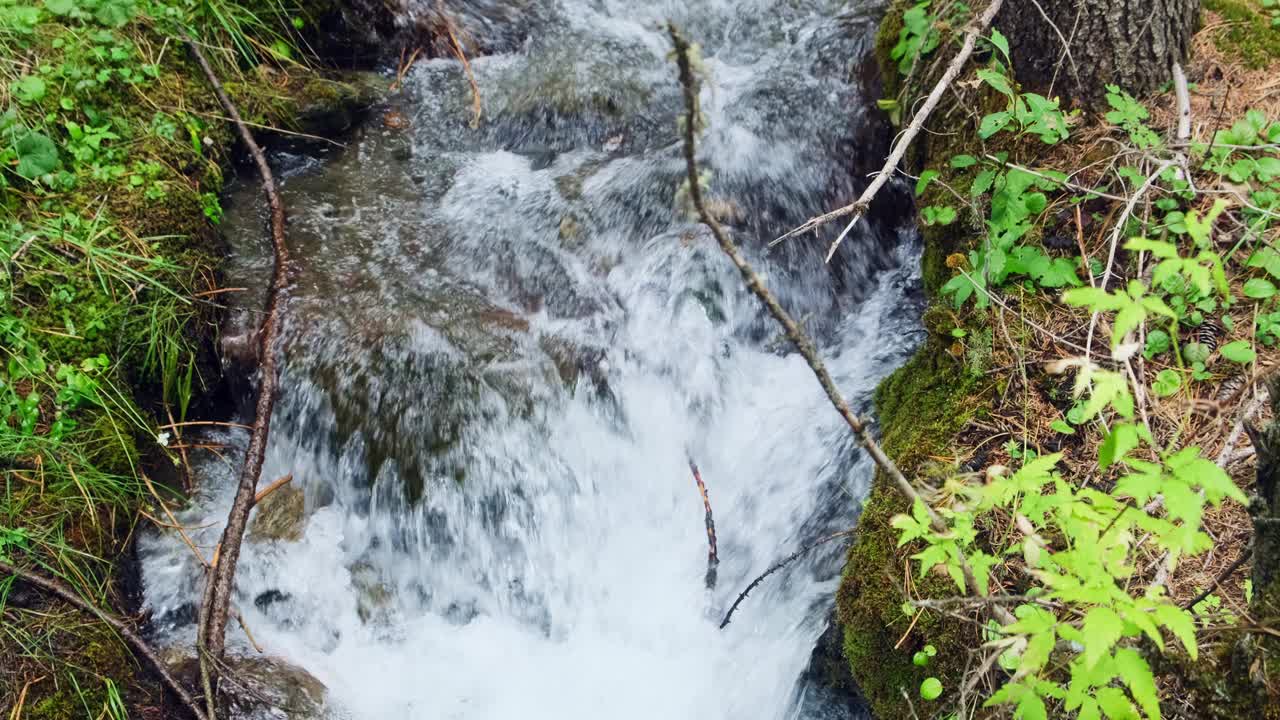 水流湍急，在小山涧冒泡、起泡。森林小溪特写，俯视图。视频下载