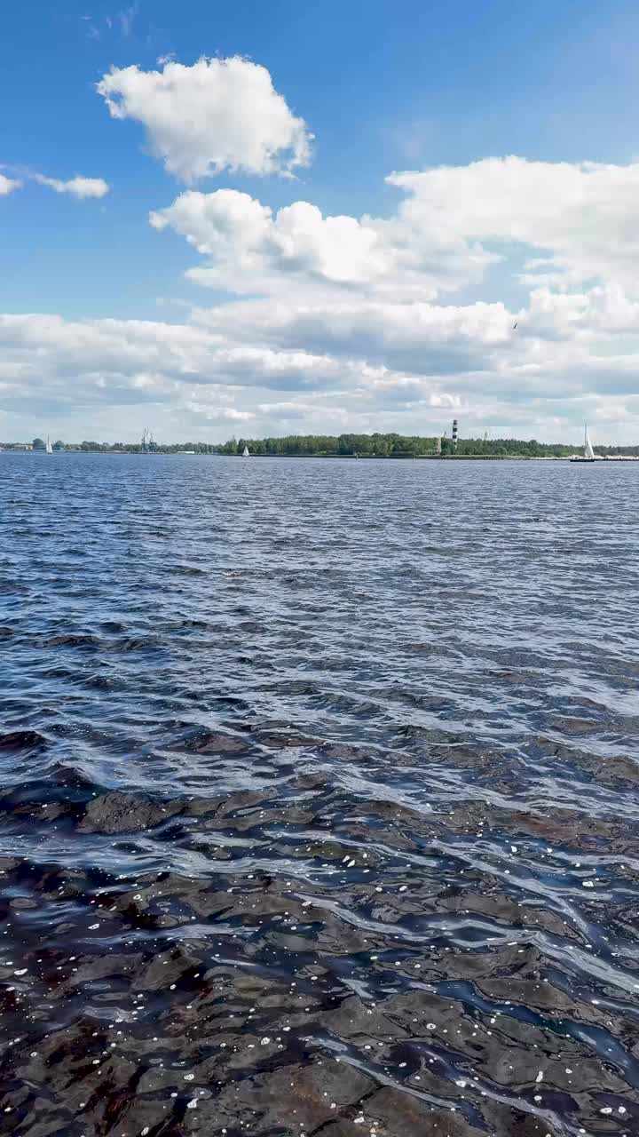 夏初的道加瓦河入海口视频素材