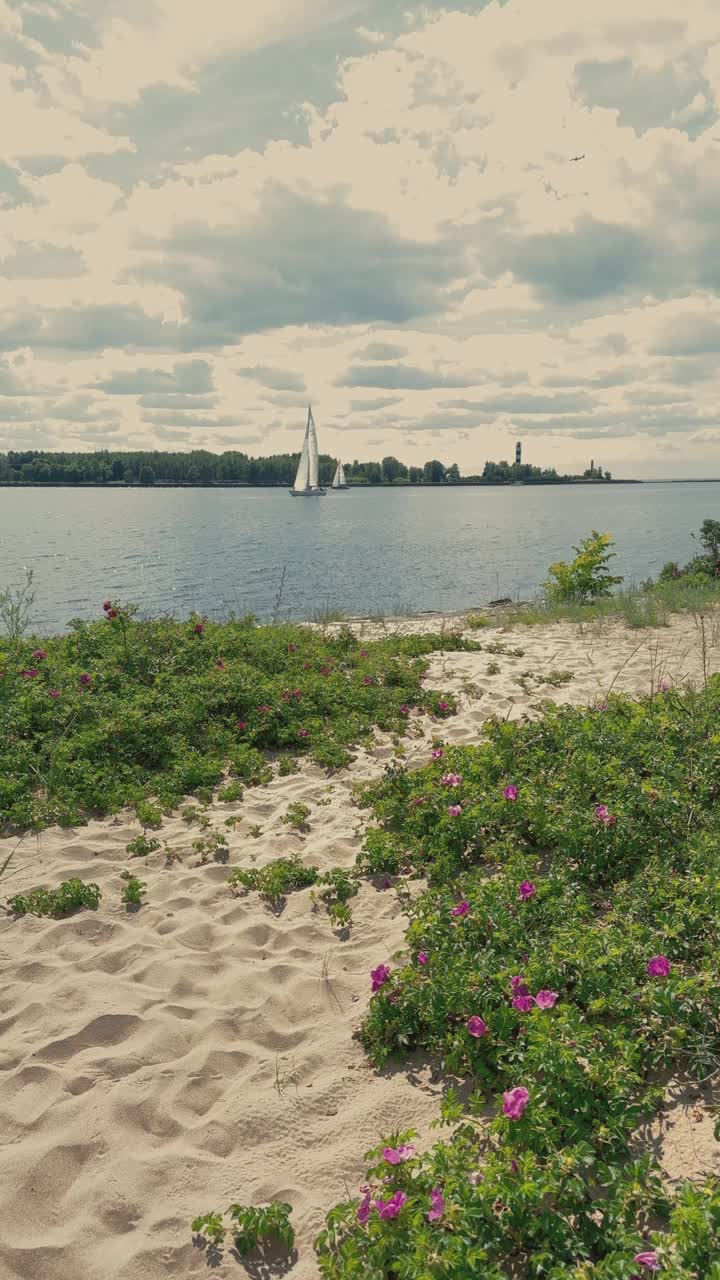 夏初的道加瓦河入海口视频素材