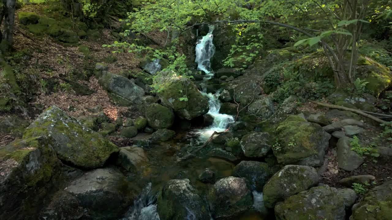 美丽的画面，一条河流在一个郁郁葱葱，黑暗的森林。保加利亚首都索非亚附近维托沙山的Vkadaya河。视频素材