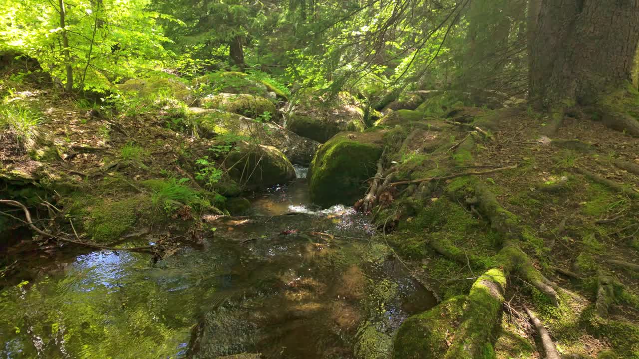 Vkadaya河流经保加利亚索非亚附近维托沙山郁郁葱葱的森林的慢镜头。气候温和，欧洲森林视频素材