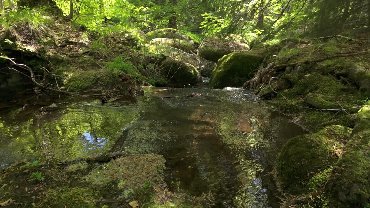 河水流经一片郁郁葱葱、绿油油的森林，在春天的巨石上长满青苔，阳光充满活力。保加利亚索非亚附近Vitosha山的Vkadaya河的慢镜头。视频素材