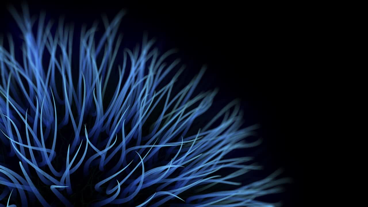 蓝色毛球蓬松的3D动画视频素材