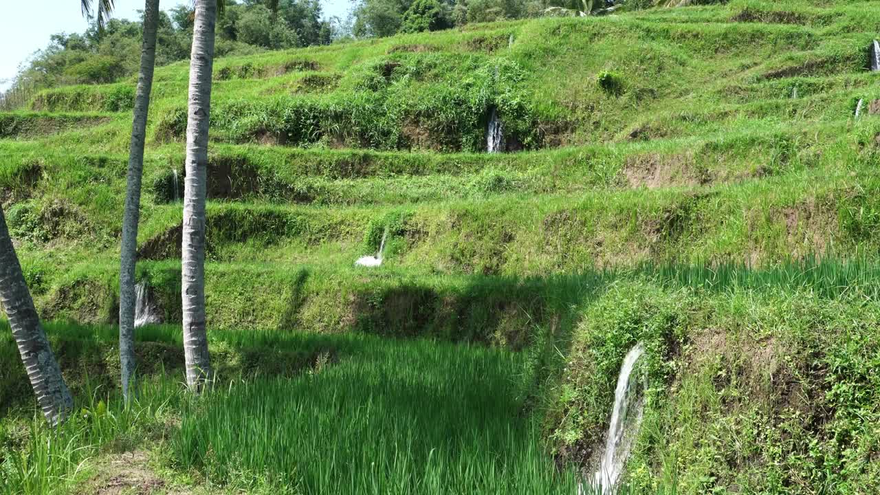 有流水的梯田视频素材