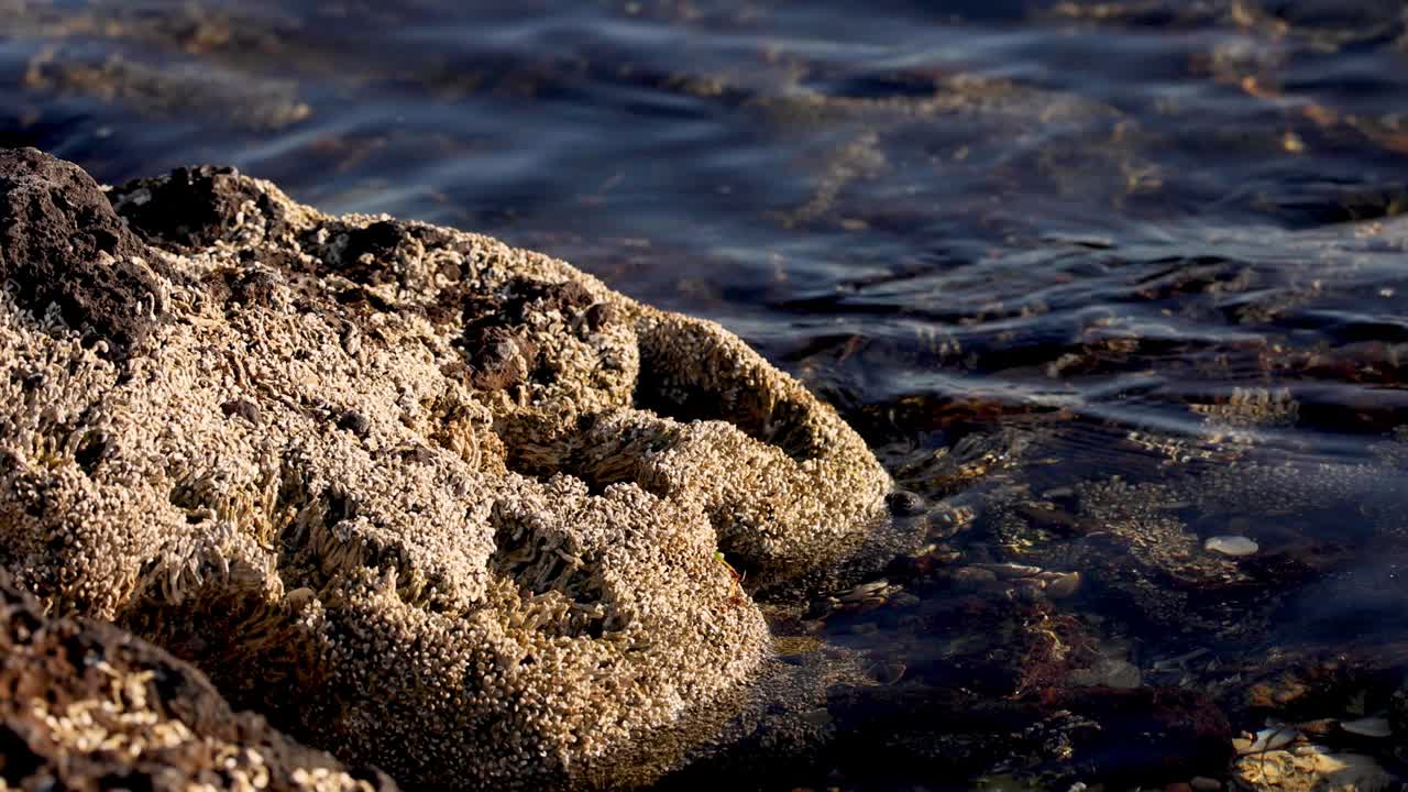 海浪冲击着布莱顿海滩的岩石视频素材