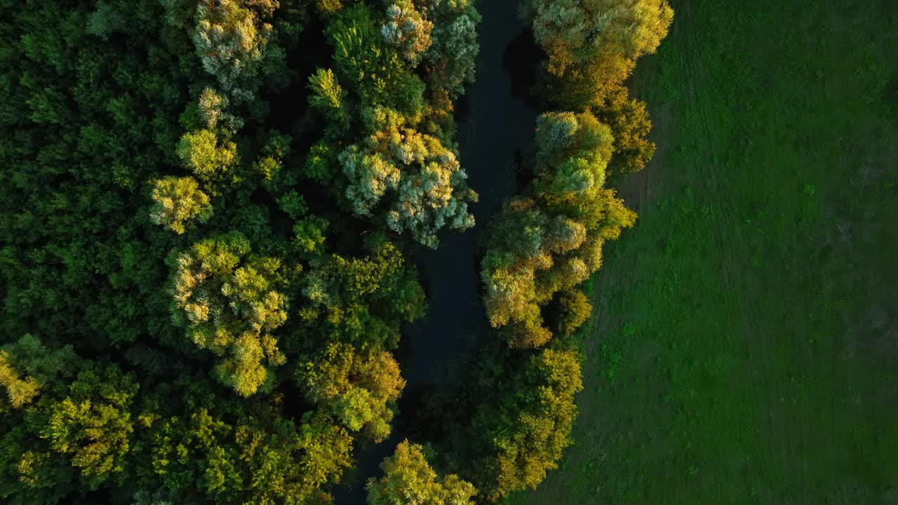 无人机在黑山斯卡达尔湖阳光普照的森林中央的一条河上拍摄视频素材