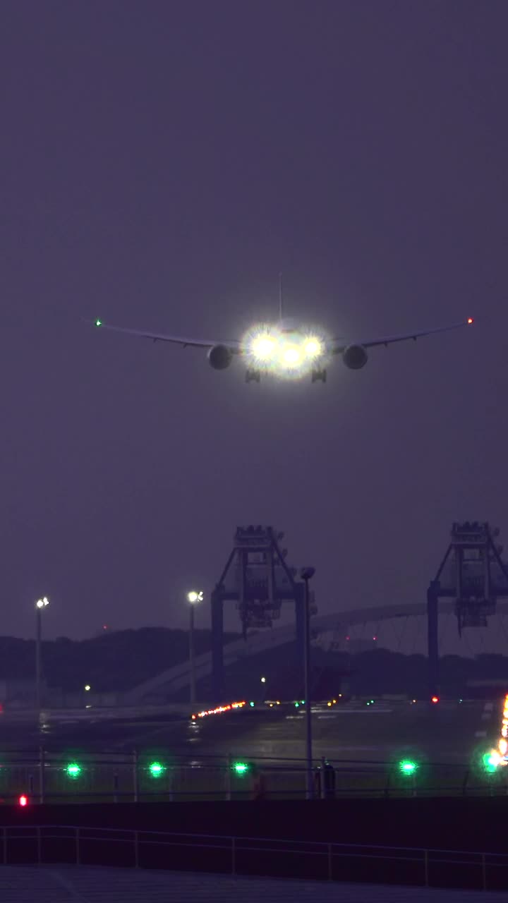 客机在夜间降落在跑道上视频素材