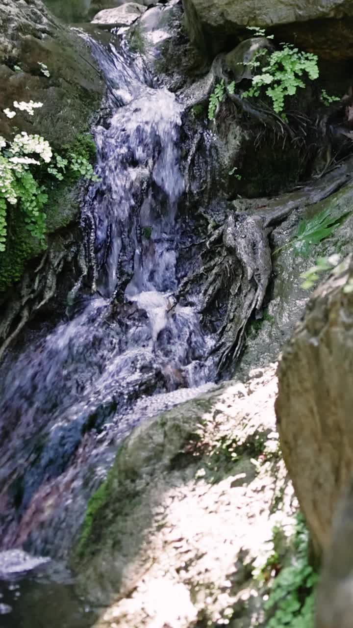 这是一个舒缓的视频，在夏日的阳光下，一条宁静的森林溪流流过岩石视频素材