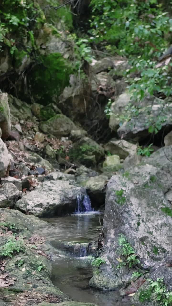 这是一个宁静的视频，展示了一条森林溪流在郁郁葱葱的绿色山谷中轻轻地流过岩石视频素材