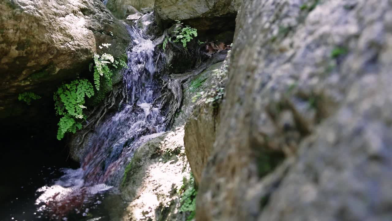 这是一个舒缓的视频，在夏日的阳光下，一条宁静的森林溪流流过岩石视频素材