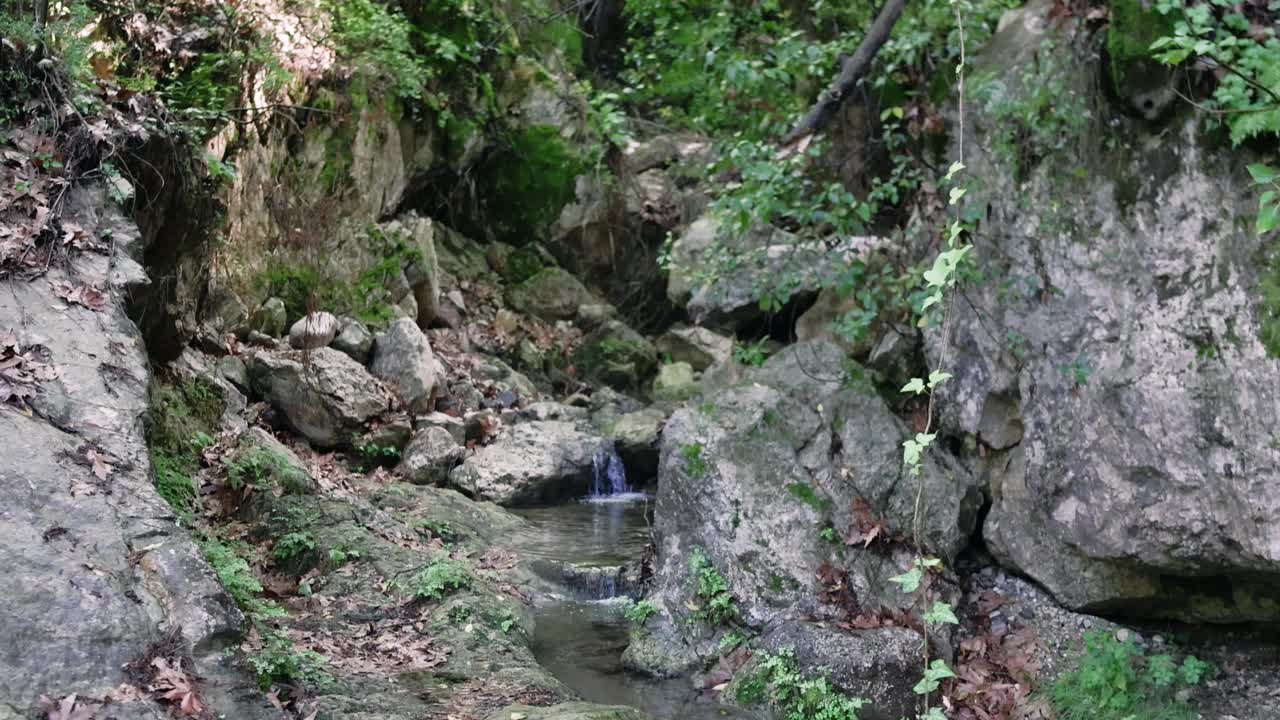 这是一个宁静的视频，展示了一条森林溪流在郁郁葱葱的绿色山谷中轻轻地流过岩石视频素材